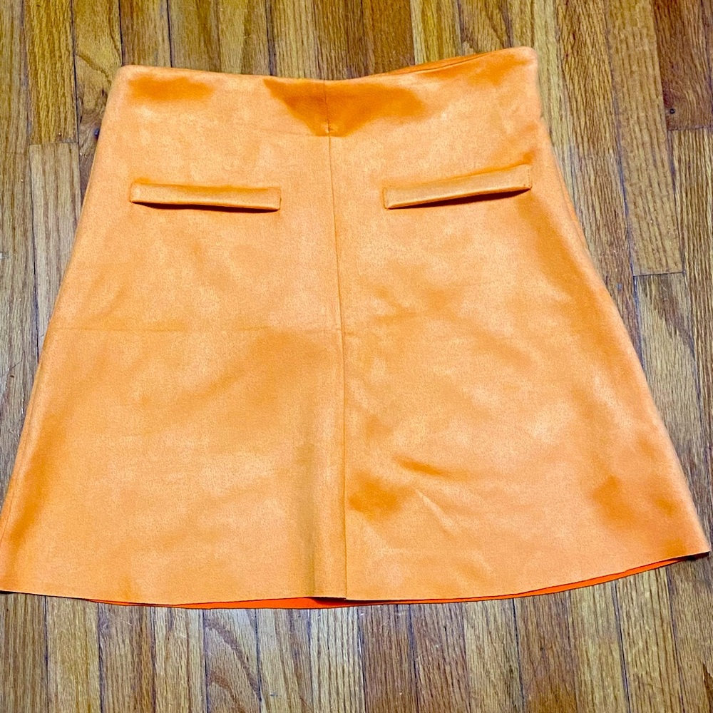 NWT Zara Mini Skirt - Size Small